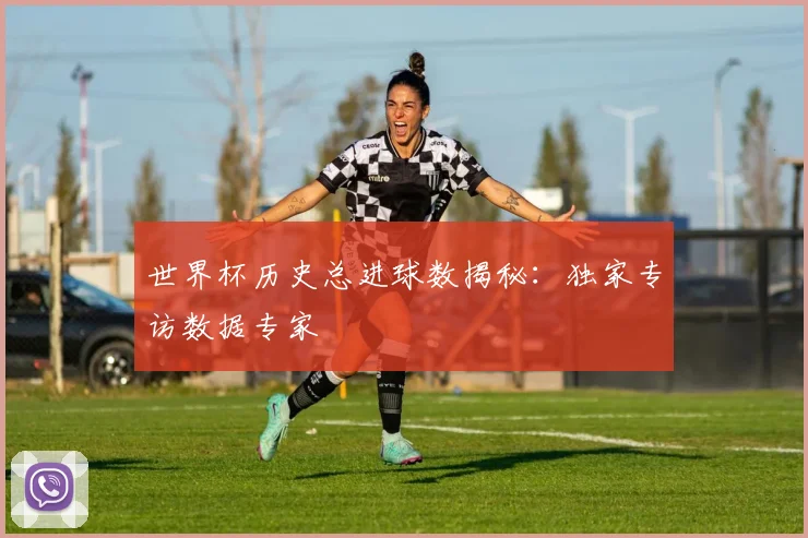 世界杯历史总进球数揭秘：独家专访数据专家