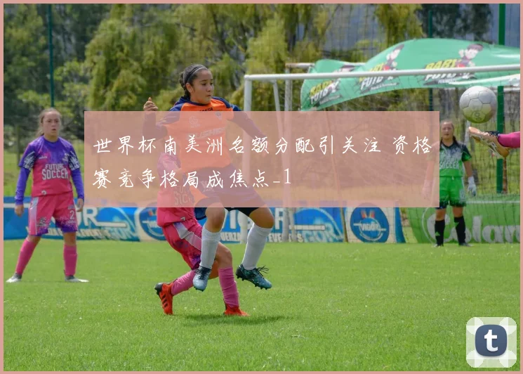 世界杯南美洲名额分配引关注 资格赛竞争格局成焦点_1