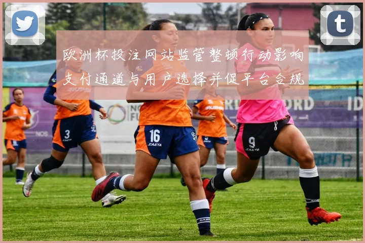 欧洲杯投注网站监管整顿行动影响支付通道与用户选择并促平台合规评估
