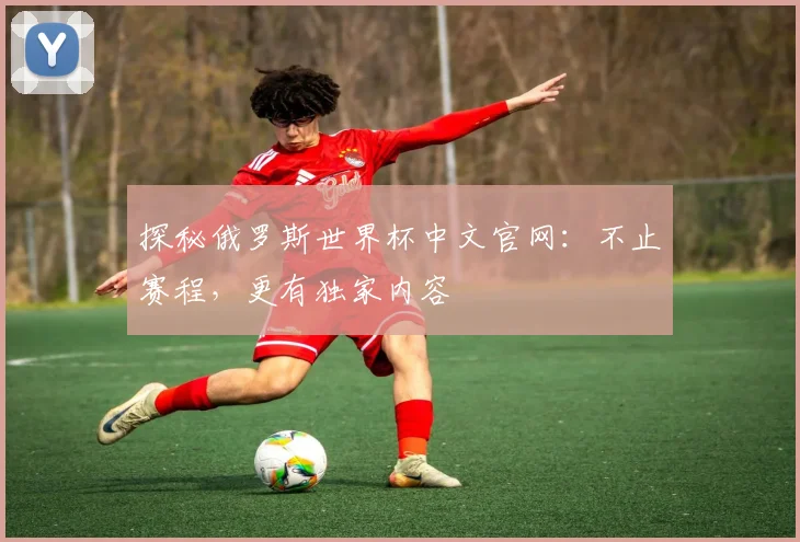 探秘俄罗斯世界杯中文官网:不止赛程,更有独家内容