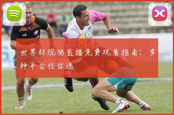 世界杯现场直播免费观看指南:多种平台任你选