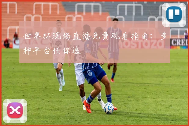 世界杯现场直播免费观看指南:多种平台任你选