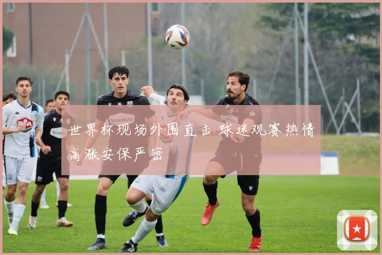 世界杯现场外围直击 球迷观赛热情高涨安保严密