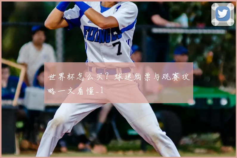 世界杯怎么买?球迷购票与观赛攻略一文看懂_1