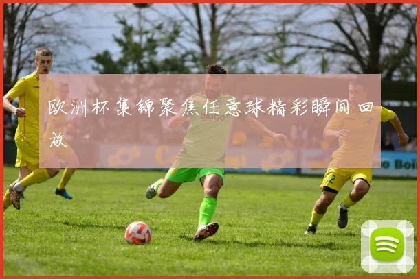 欧洲杯集锦聚焦任意球精彩瞬间回放