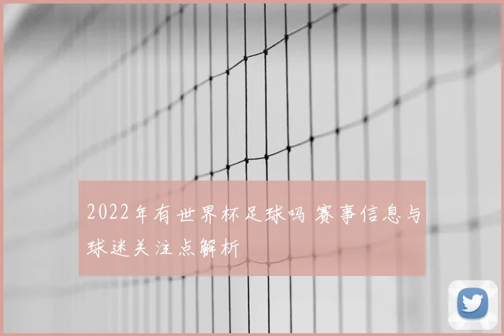 2022年有世界杯足球吗 赛事信息与球迷关注点解析