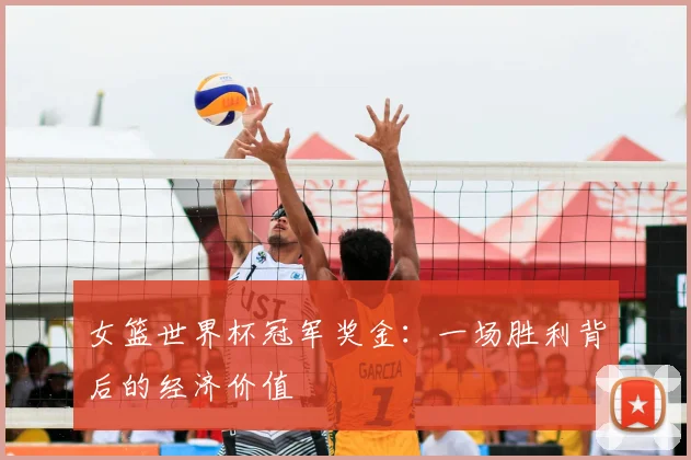 女篮世界杯冠军奖金：一场胜利背后的经济价值